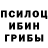 Галлюциногенные грибы прущие грибы Theo Clayson